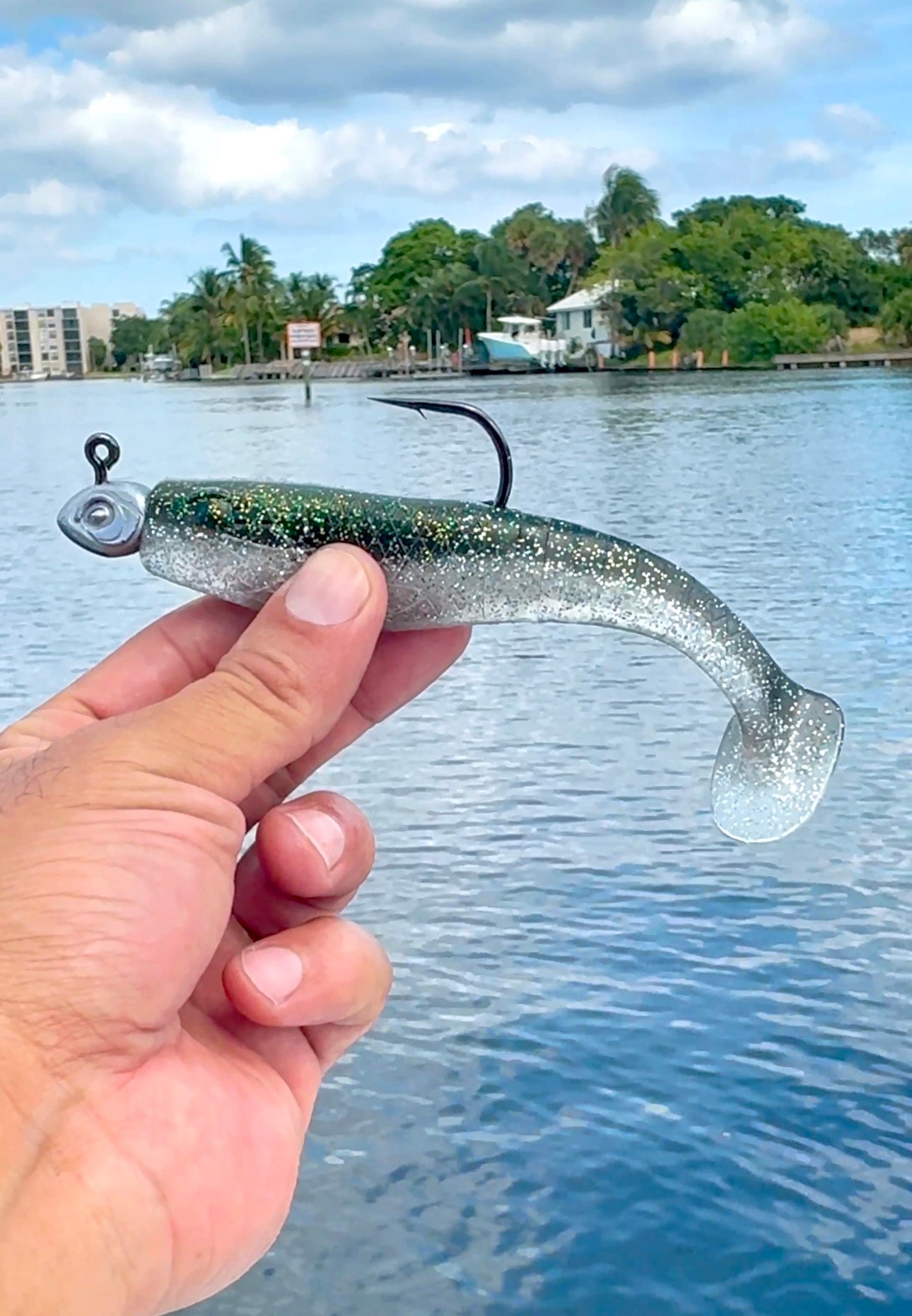 big-fish lure Snarpon Swimbait + 1oz Jig Head Combo β Ready-to-Rig Big Fish Slayer π β UrbanFloridaFishing